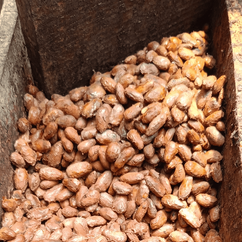grano_caco_baba
